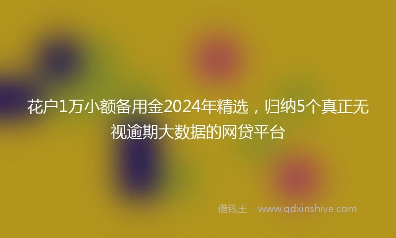 花户1万小额备用金2024年精选，归纳5个真正无视逾期大数据的网贷平台