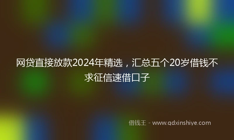 网贷直接放款2024年精选，汇总五个20岁借钱不求征信速借口子