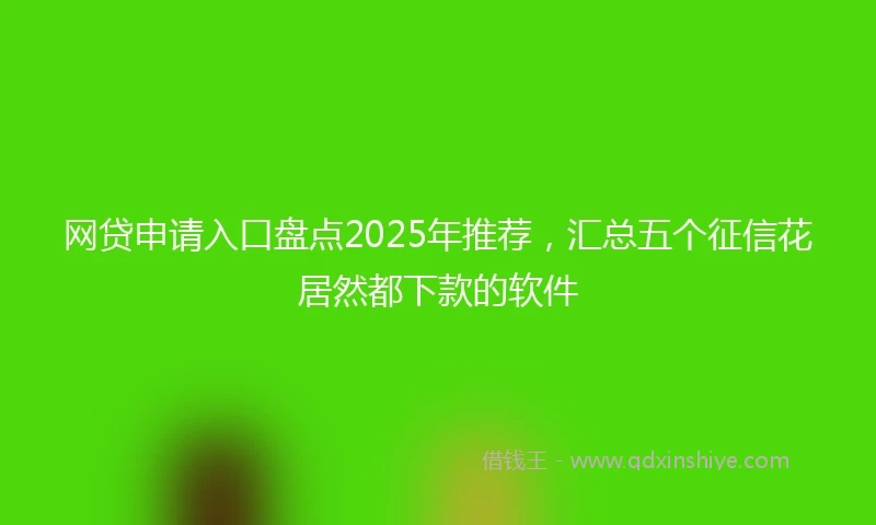 网贷申请入口盘点2025年推荐，汇总五个征信花居然都下款的软件