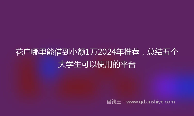 花户哪里能借到小额1万2024年推荐，总结五个大学生可以使用的平台