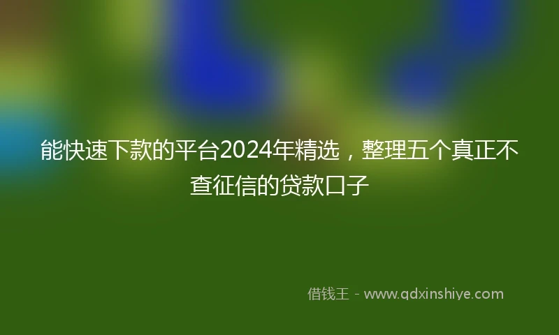 能快速下款的平台2024年精选，整理五个真正不查征信的贷款口子
