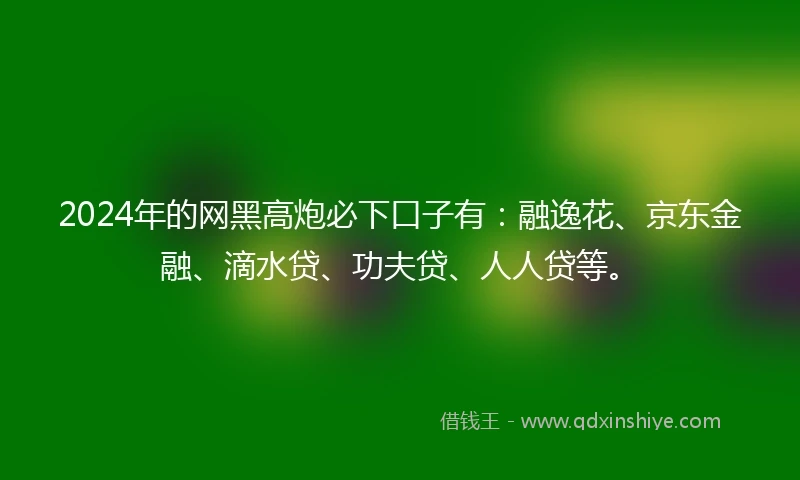 2024年的网黑高炮必下口子有：融逸花、京东金融、滴水贷、功夫贷、人人贷等。
