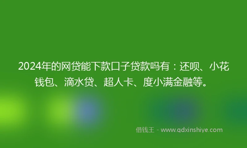 2024年的网贷能下款口子贷款吗有：还呗、小花钱包、滴水贷、超人卡、度小满金融等。