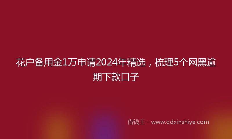 花户备用金1万申请2024年精选，梳理5个网黑逾期下款口子