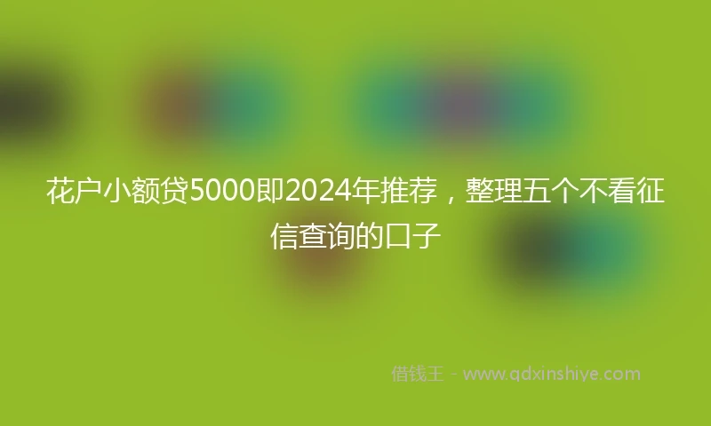 花户小额贷5000即2024年推荐，整理五个不看征信查询的口子