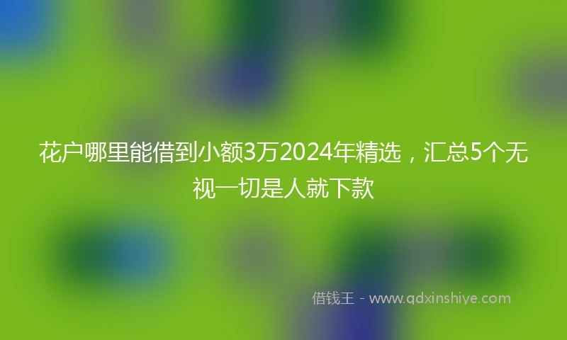 花户哪里能借到小额3万2024年精选，汇总5个无视一切是人就下款
