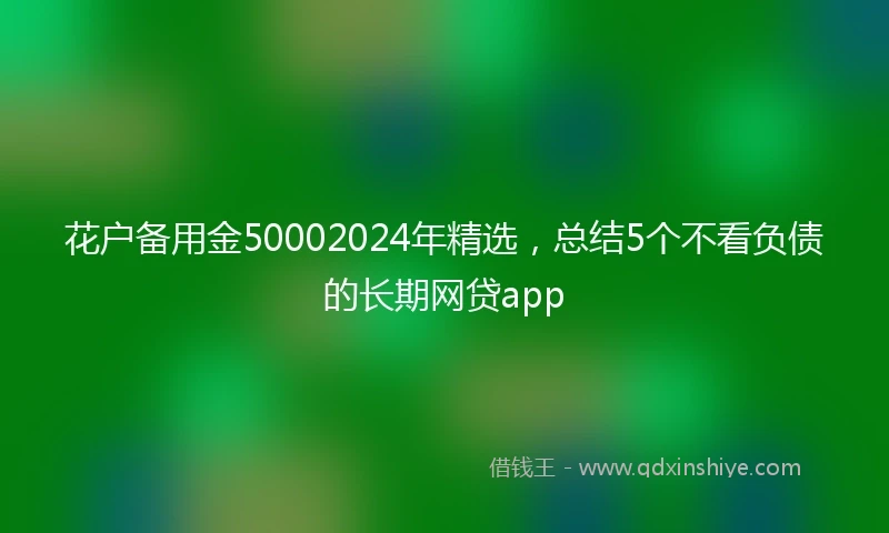 花户备用金50002024年精选，总结5个不看负债的长期网贷app