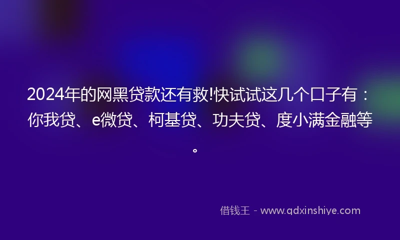 2024年的网黑贷款还有救!快试试这几个口子有：你我贷、e微贷、柯基贷、功夫贷、度小满金融等。