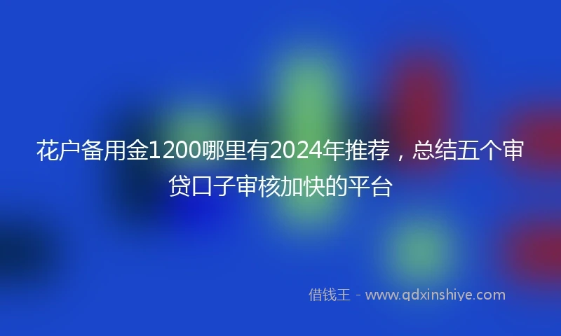 花户备用金1200哪里有2024年推荐，总结五个审贷口子审核加快的平台