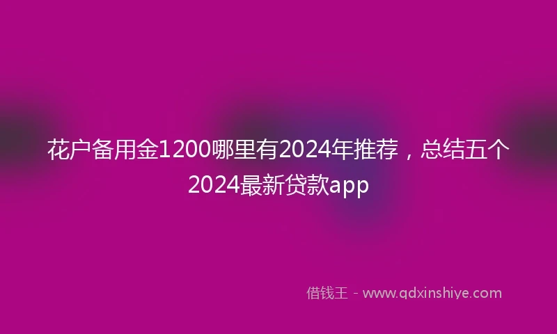 花户备用金1200哪里有2024年推荐，总结五个2024最新贷款app
