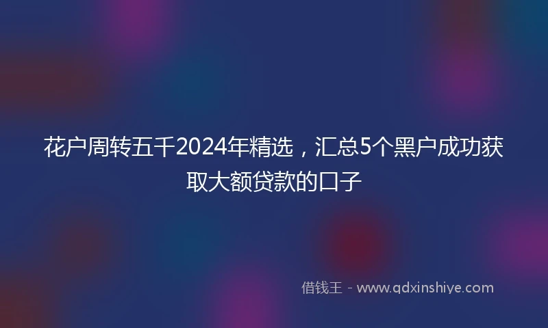花户周转五千2024年精选，汇总5个黑户成功获取大额贷款的口子
