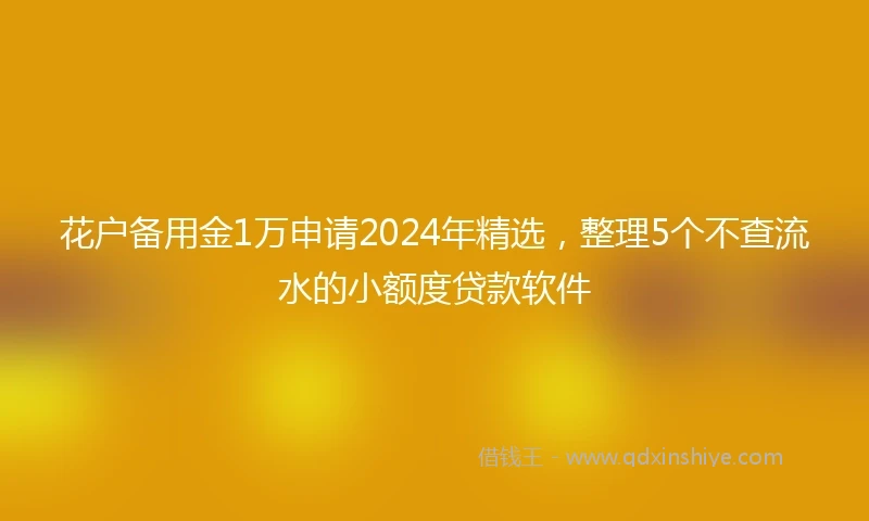 花户备用金1万申请2024年精选，整理5个不查流水的小额度贷款软件