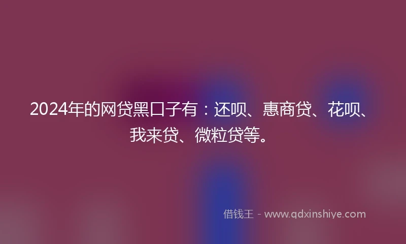 2024年的网贷黑口子有:还呗、惠商贷、花呗、我来贷、微粒贷等。