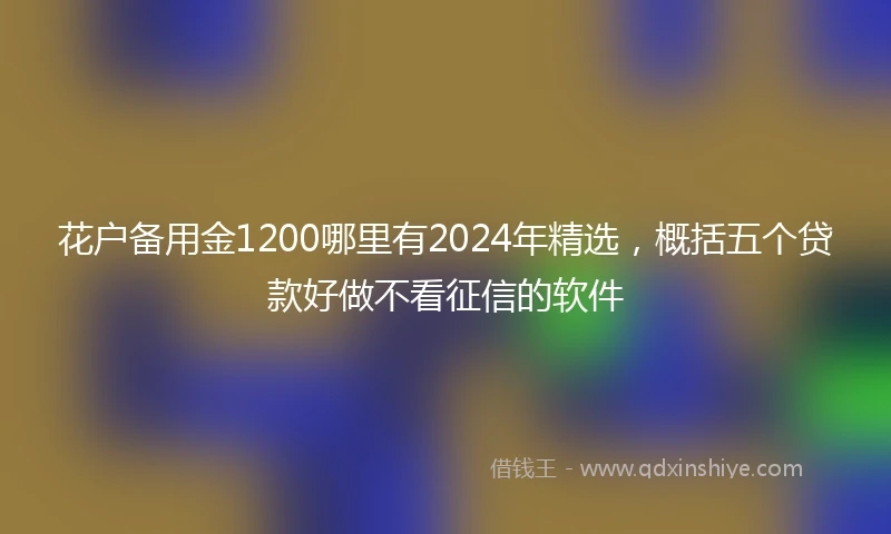 花户备用金1200哪里有2024年精选，概括五个贷款好做不看征信的软件