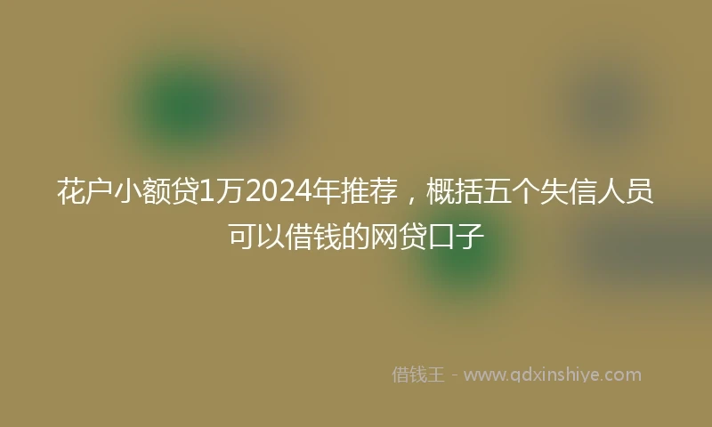 花户小额贷1万2024年推荐，概括五个失信人员可以借钱的网贷口子