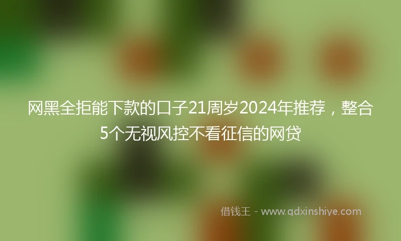 网黑全拒能下款的口子21周岁2024年推荐，整合5个无视风控不看征信的网贷