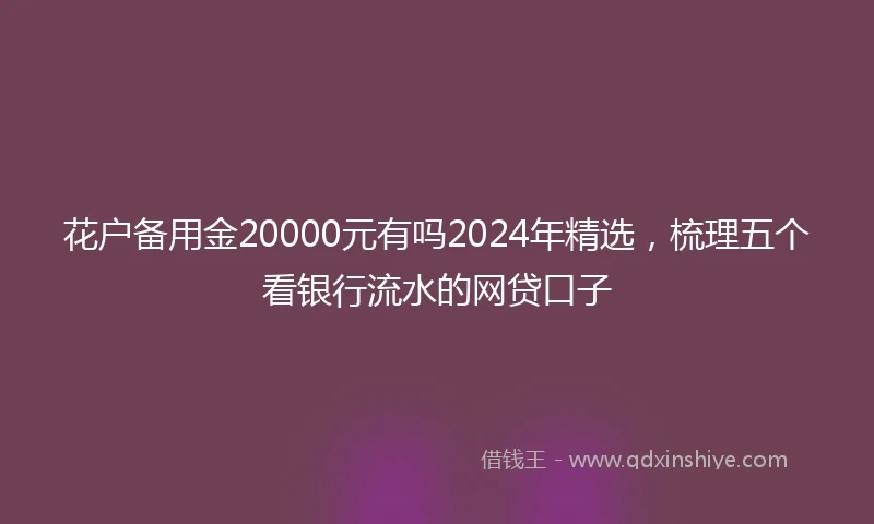 花户备用金20000元有吗2024年精选，梳理五个看银行流水的网贷口子