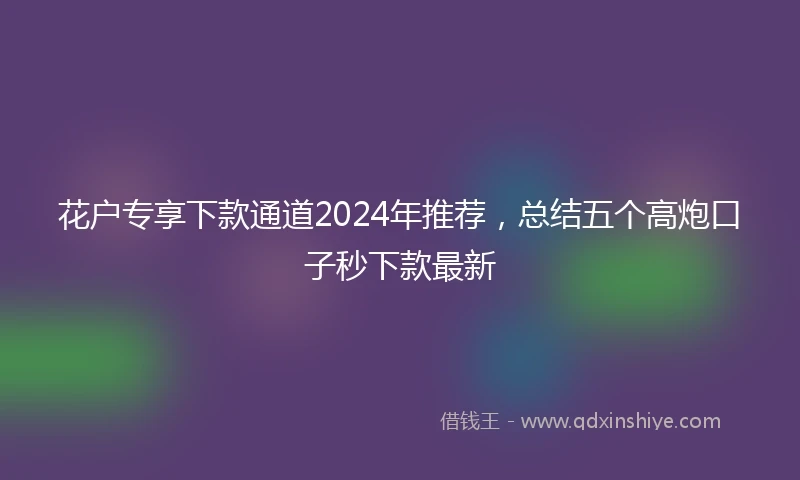 花户专享下款通道2024年推荐，总结五个高炮口子秒下款最新