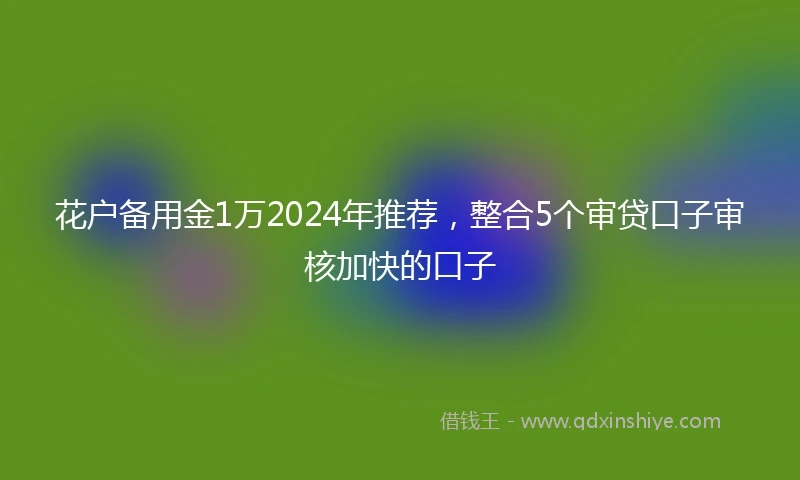 花户备用金1万2024年推荐，整合5个审贷口子审核加快的口子