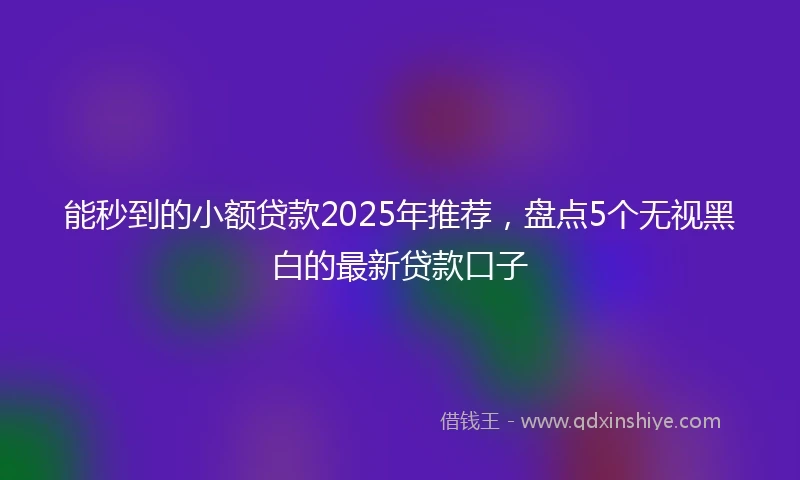 能秒到的小额贷款2025年推荐，盘点5个无视黑白的最新贷款口子