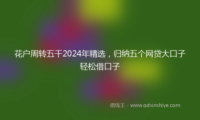 花户周转五千2024年精选，归纳五个网贷大口子轻松借口子