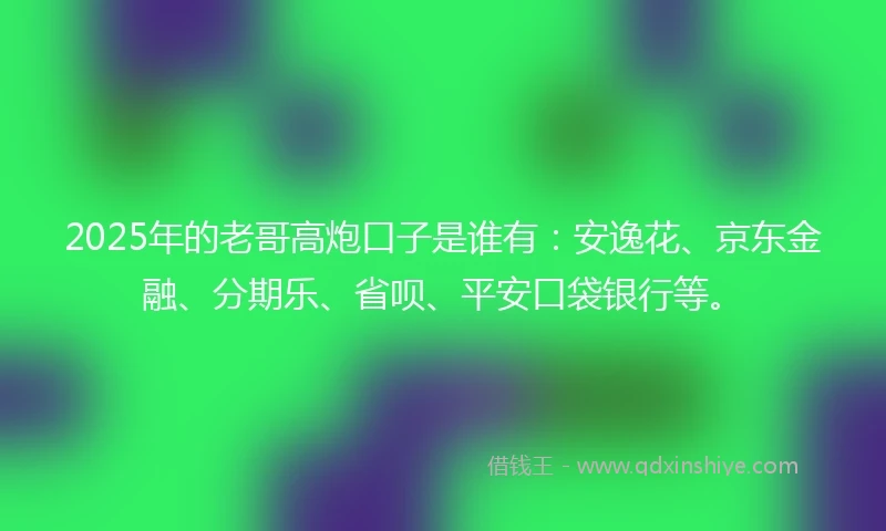 2025年的老哥高炮口子是谁有：安逸花、京东金融、分期乐、省呗、平安口袋银行等。