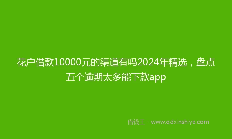 花户借款10000元的渠道有吗2024年精选，盘点五个逾期太多能下款app