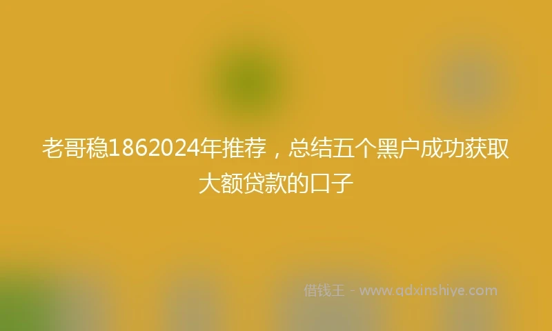 老哥稳1862024年推荐，总结五个黑户成功获取大额贷款的口子