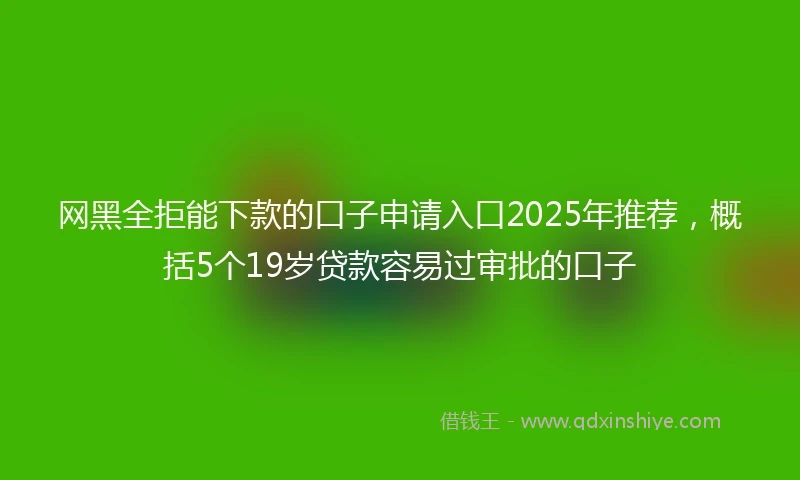 网黑全拒能下款的口子申请入口2025年推荐，概括5个19岁贷款容易过审批的口子