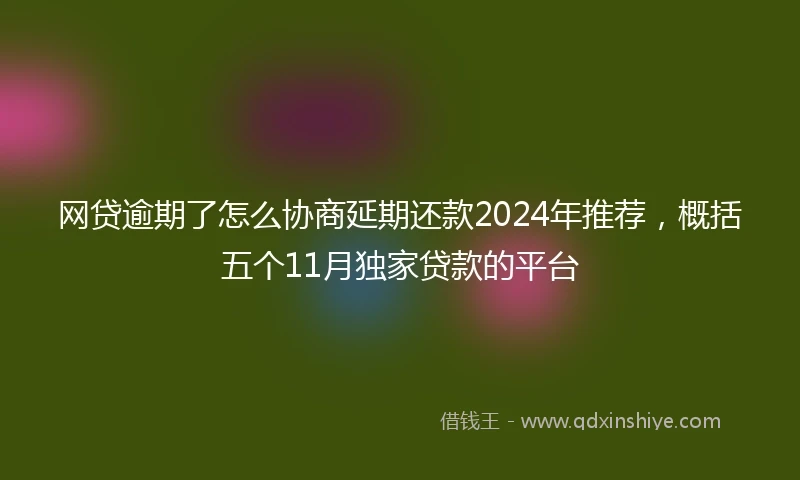 网贷逾期了怎么协商延期还款2024年推荐，概括五个11月独家贷款的平台