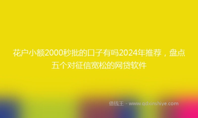 花户小额2000秒批的口子有吗2024年推荐，盘点五个对征信宽松的网贷软件