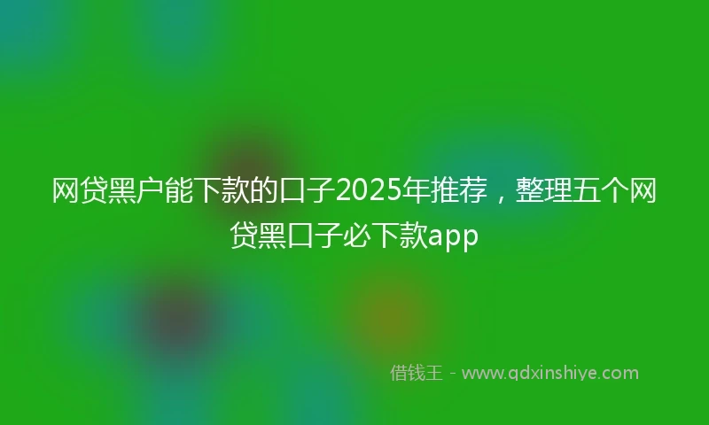 网贷黑户能下款的口子2025年推荐，整理五个网贷黑口子必下款app