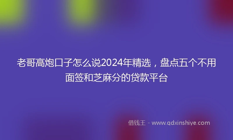 老哥高炮口子怎么说2024年精选，盘点五个不用面签和芝麻分的贷款平台
