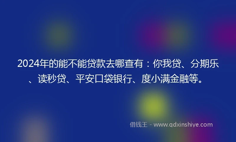 2024年的能不能贷款去哪查有：你我贷、分期乐、读秒贷、平安口袋银行、度小满金融等。