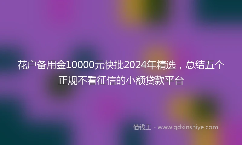 花户备用金10000元快批2024年精选，总结五个正规不看征信的小额贷款平台