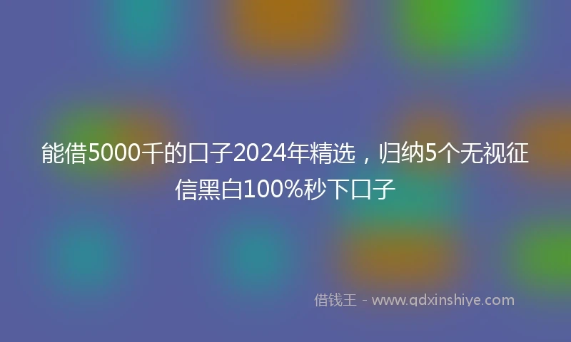 能借5000千的口子2024年精选，归纳5个无视征信黑白100%秒下口子