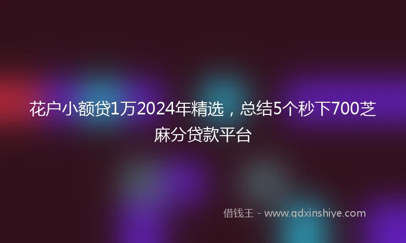 花户小额贷1万2024年精选，总结5个秒下700芝麻分贷款平台