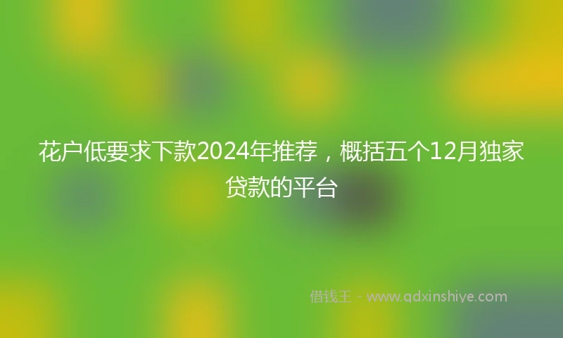 花户低要求下款2024年推荐，概括五个12月独家贷款的平台