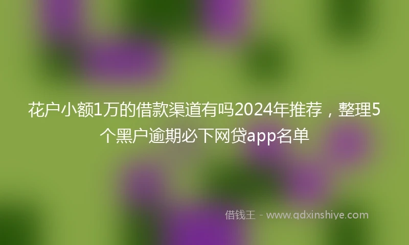 花户小额1万的借款渠道有吗2024年推荐，整理5个黑户逾期必下网贷app名单