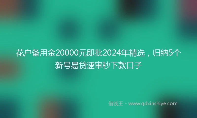 花户备用金20000元即批2024年精选，归纳5个新号易贷速审秒下款口子