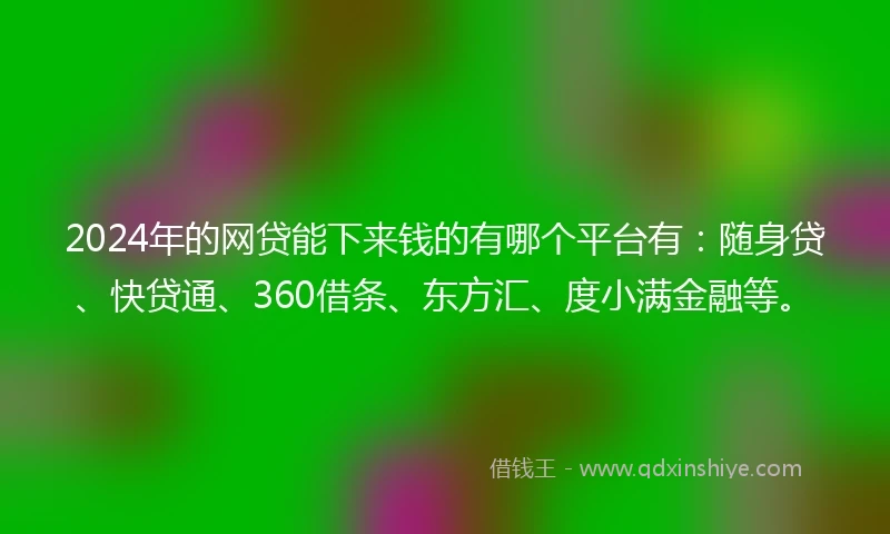 2024年的网贷能下来钱的有哪个平台有：随身贷、快贷通、360借条、东方汇、度小满金融等。