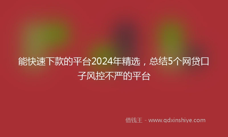 能快速下款的平台2024年精选，总结5个网贷口子风控不严的平台