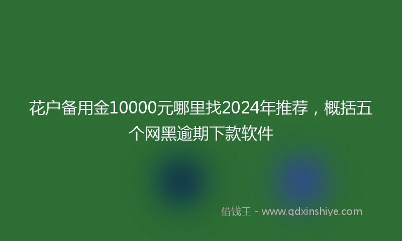 花户备用金10000元哪里找2024年推荐，概括五个网黑逾期下款软件