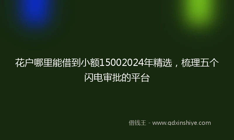 花户哪里能借到小额15002024年精选，梳理五个闪电审批的平台
