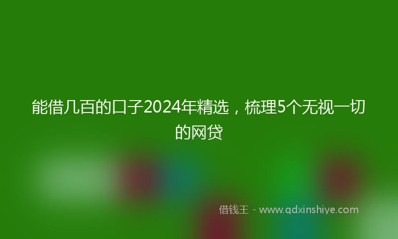 能借几百的口子2024年精选，梳理5个无视一切的网贷