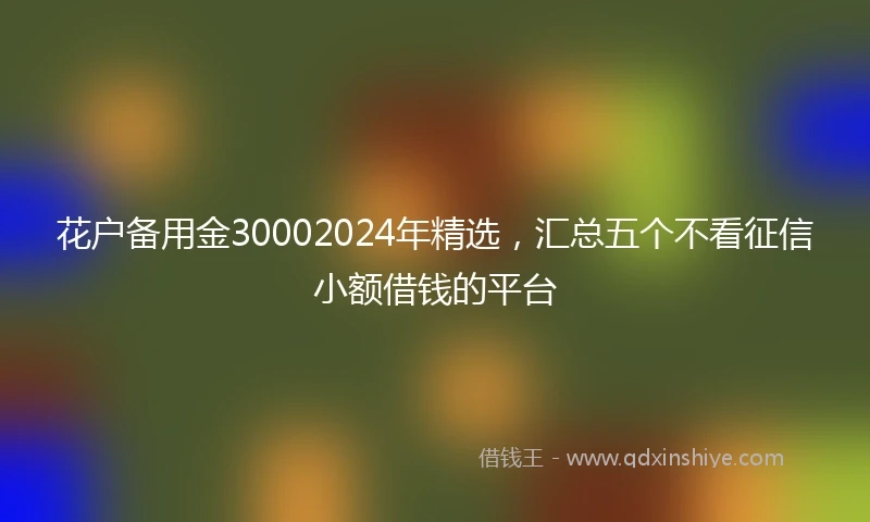 花户备用金30002024年精选，汇总五个不看征信小额借钱的平台
