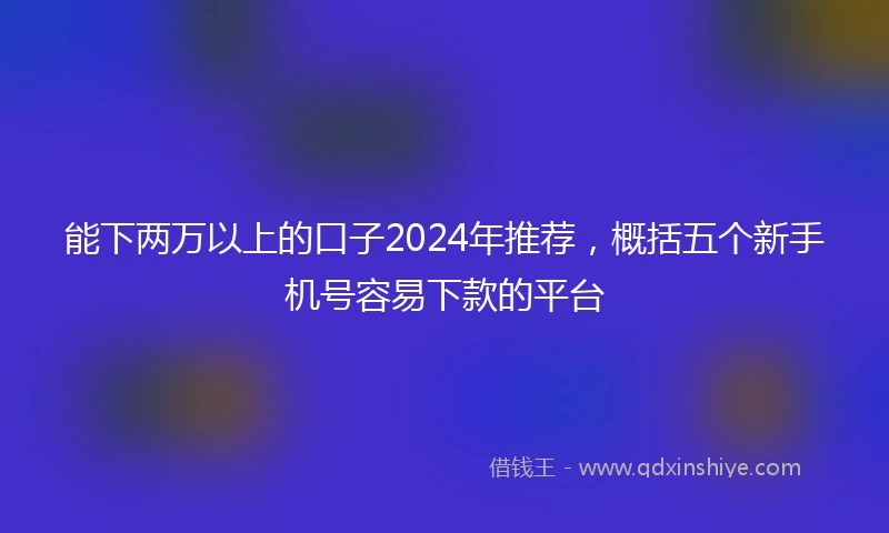 能下两万以上的口子2024年推荐，概括五个新手机号容易下款的平台