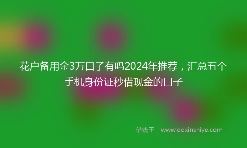 花户备用金3万口子有吗2024年推荐，汇总五个手机身份证秒借现金的口子
