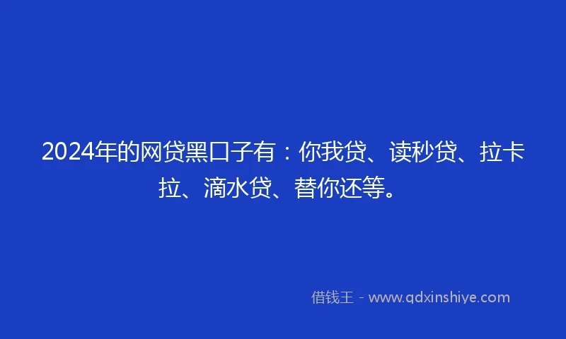 2024年的网贷黑口子有：你我贷、读秒贷、拉卡拉、滴水贷、替你还等。