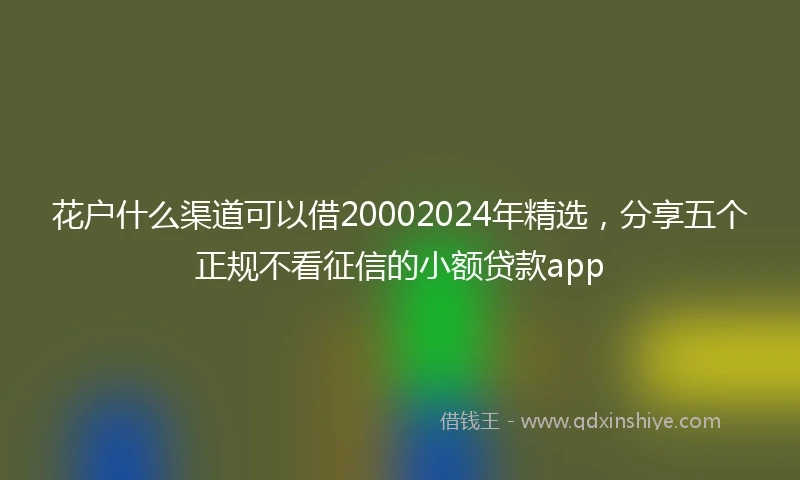 花户什么渠道可以借20002024年精选，分享五个正规不看征信的小额贷款app